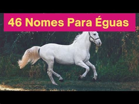 nomes para eguas - girafa para colorir